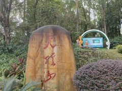 -火炉山森林公园