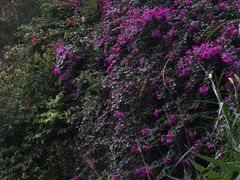 -燕晗山郊野公园