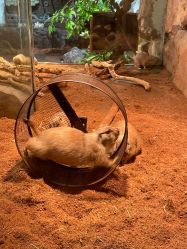 -Zoolung Zoolung动物主题公园(海信广场店)