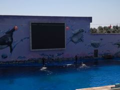 -北戴河圣蓝海洋公园