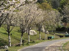 -南北湖风景区