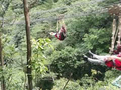 -梦幻奥陶纪景区