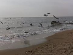 -老虎石海上公园