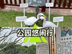 -长洲岛