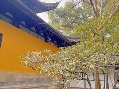 -西园戒幢律寺