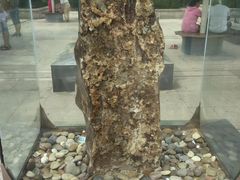 -陕西自然博物馆