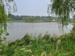 -东郊湿地公园