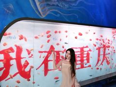 -重庆欢乐海底世界