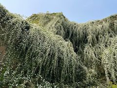 -成都当代影像馆