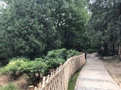 -北京植物园-展览温室