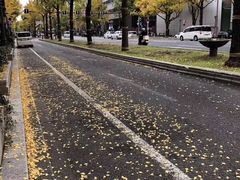 -中国政法大学(昌平校区)