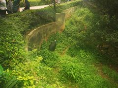 -昆明动物园