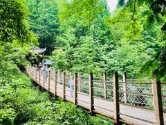 -凤栖山