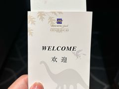 -常州环球恐龙城维景国际大酒店