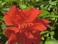 -白帝城·瞿塘峡景区