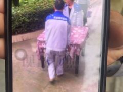 -蚂蚁搬家成都打包搬运公司