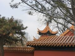 -戏马台景区