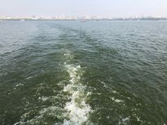 -西湖外事游船(花港观鱼码头)