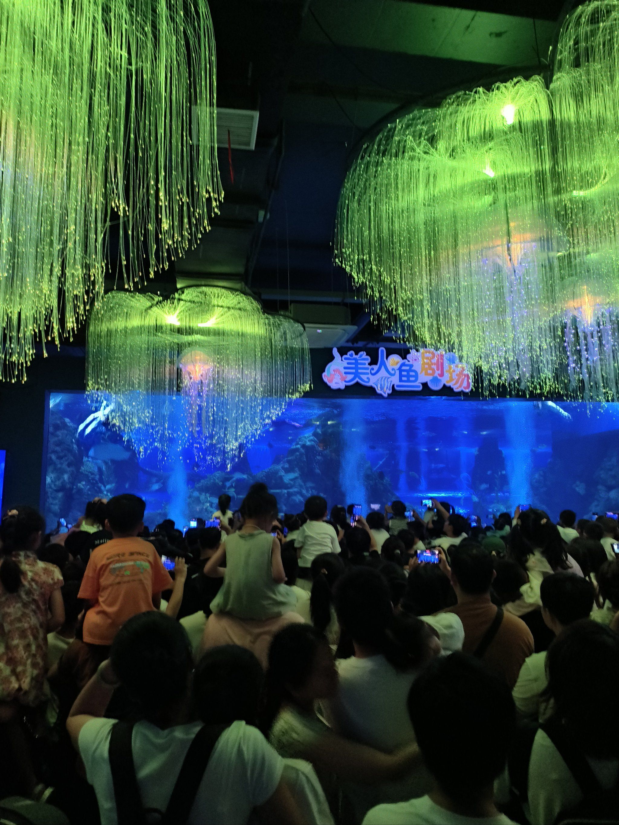温州极地海洋世界