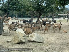 -西安秦岭野生动物园