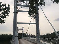 -塘沽森林公园