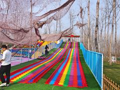 -合肥滨湖国家森林公园