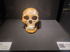 -上海崧泽遗址博物馆