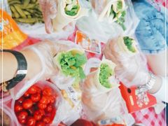 -长春市南湖公园