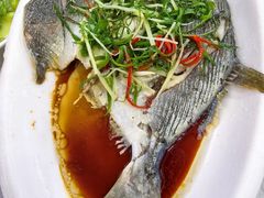 -众味海鲜大排档·活海鲜·潮汕味(南澳店)