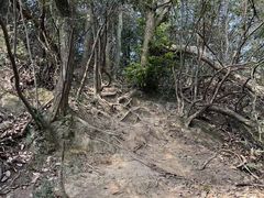 -午潮山国家森林公园