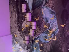 -静雅养生会所(保利·叶公馆店)