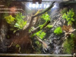 -造物庄园 萌宠纪(苏州湾歌林公园店)