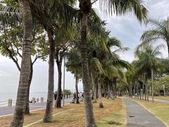 -深圳湾公园(南山区)