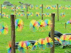 -武陵山森林公园