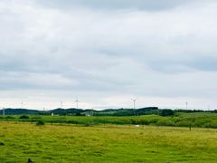 -御道口草原森林风景区