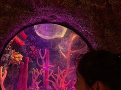 -沈阳海洋探索中心