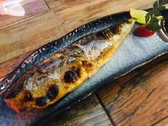青花鱼-熊藏居酒屋(kkone店)
