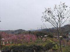 -桃源山庄·水蜜桃采摘·柴火鸡·烧烤团建(龙泉山店)