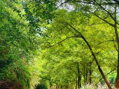 -雅鲁激流探险漂流