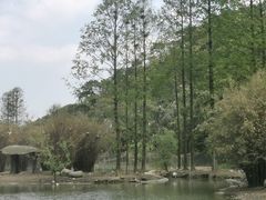 -宁波野生动物园