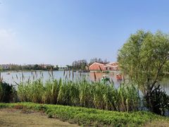 -上海长兴岛郊野公园