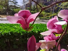 -华润大厦-停车场