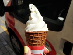 -富豪雪糕车流动点(尖沙咀店)