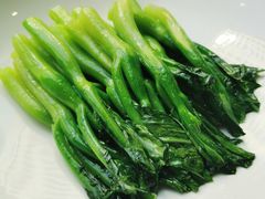 -食神鱼头佛跳墙(百子湾旗舰店)