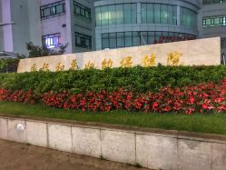 -中国福利会国际和平妇幼保健院(徐汇院区)
