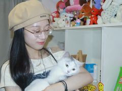 -楼上猫咖(罗湖店)