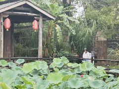 -驿舍·民國老营房院子私房菜(科学会堂店)