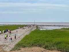 -南汇嘴观海公园