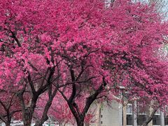 -石家庄市动物园