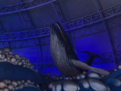 -烟台海昌鲸鲨海洋公园